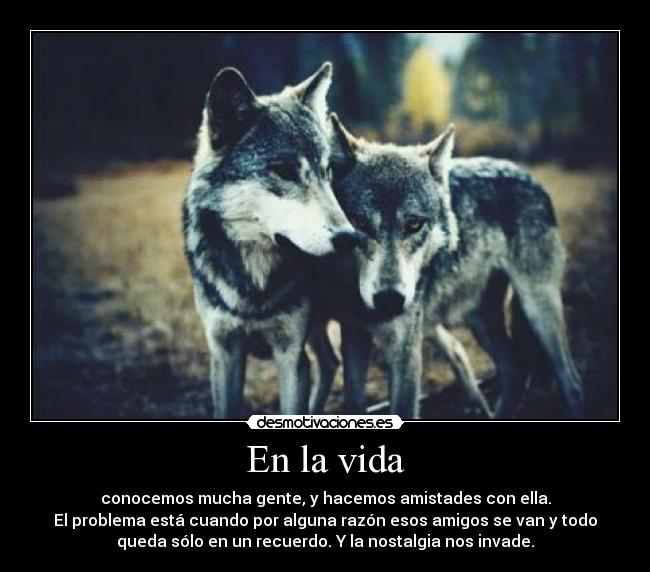 En la vida - conocemos mucha gente, y hacemos amistades con ella.
El problema está cuando por alguna razón esos amigos se van y todo
queda sólo en un recuerdo. Y la nostalgia nos invade.