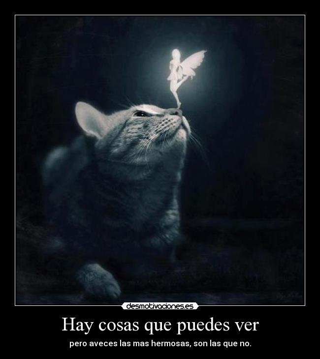 Hay cosas que puedes ver - pero aveces las mas hermosas, son las que no.