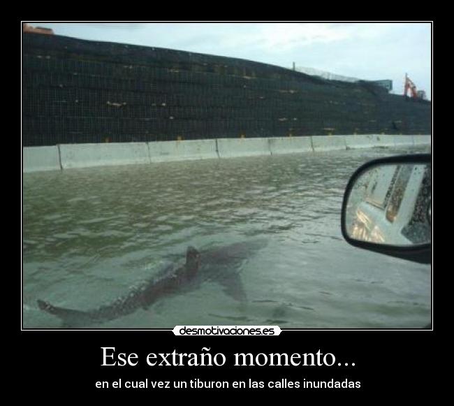 Ese extraño momento... - 