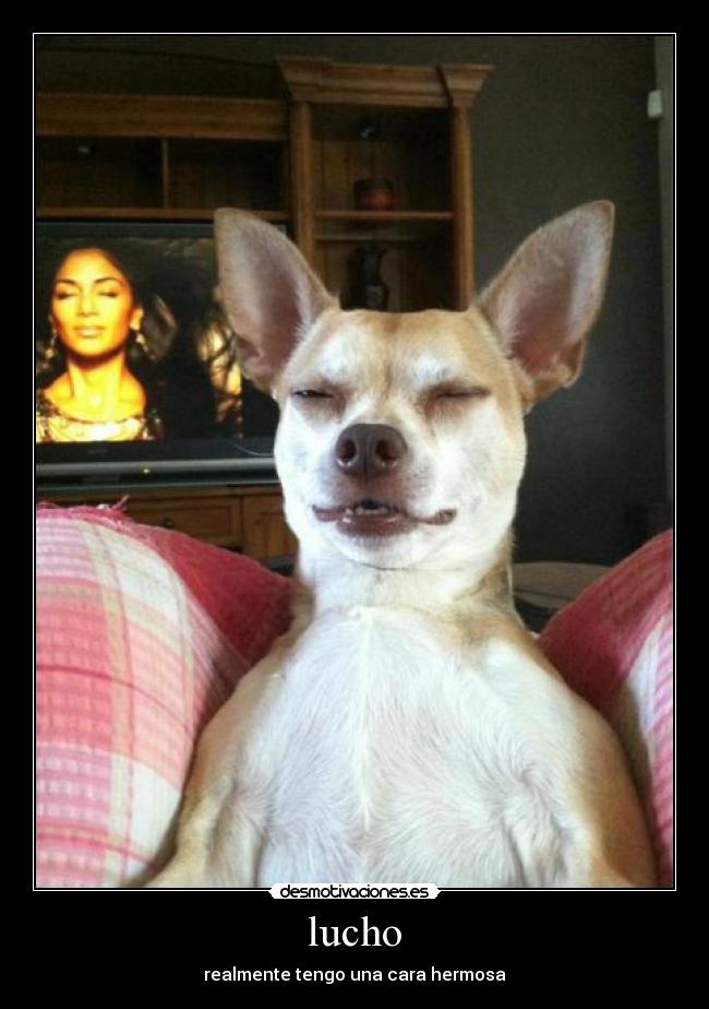lucho - realmente tengo una cara hermosa