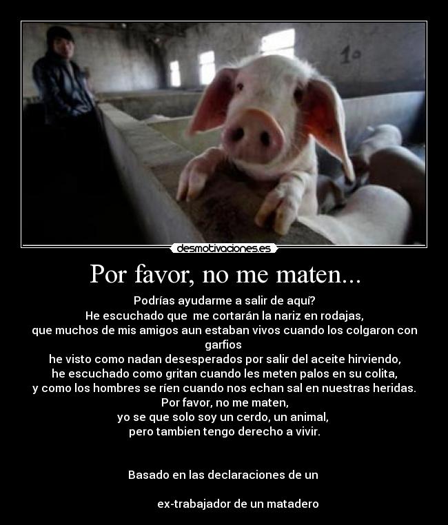 Por favor, no me maten... - 