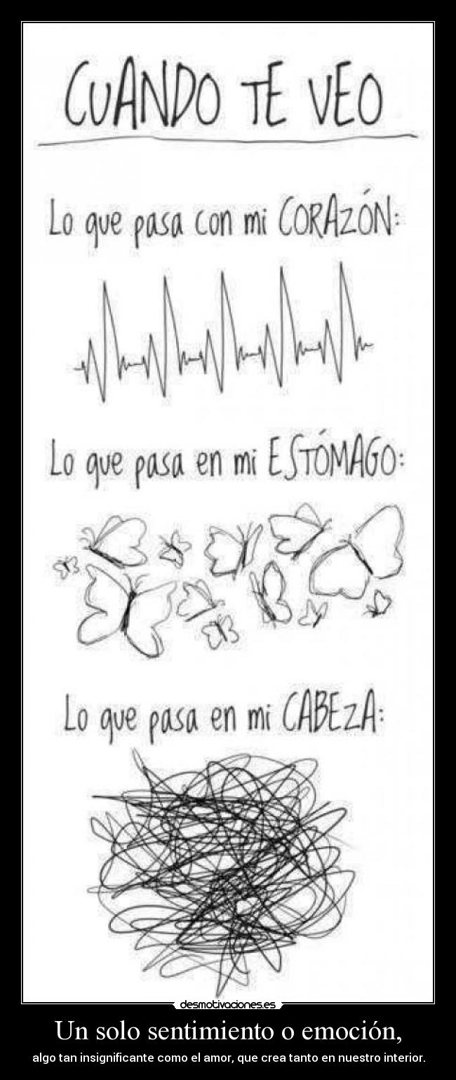 Un solo sentimiento o emoción, -