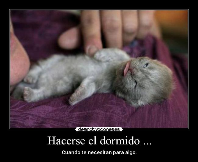 Hacerse el dormido ... - Cuando te necesitan para algo.