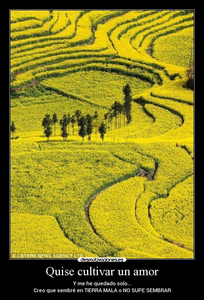 Quise cultivar un amor - Y me he quedado solo...
Creo que sembré en TIERRA MALA o NO SUPE SEMBRAR
