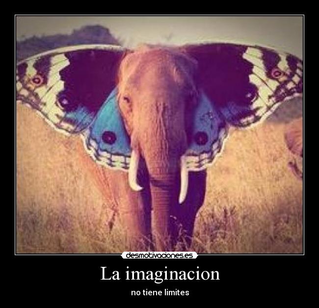 La imaginacion - 