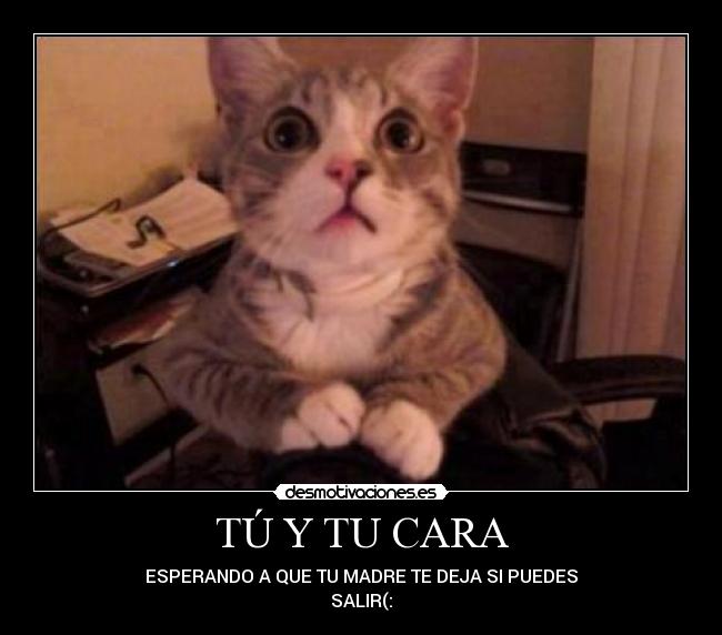 TÚ Y TU CARA - 