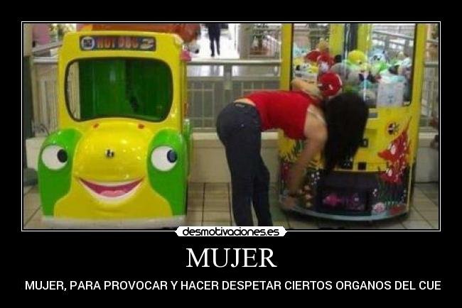 carteles mujer mujer desmotivaciones