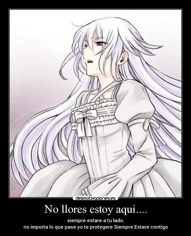 carteles mariposa muerta desmotivaciones