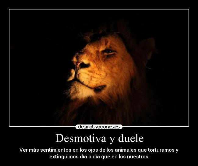 Desmotiva y duele - Ver más sentimientos en los ojos de los animales que torturamos y
extinguimos día a día que en los nuestros.