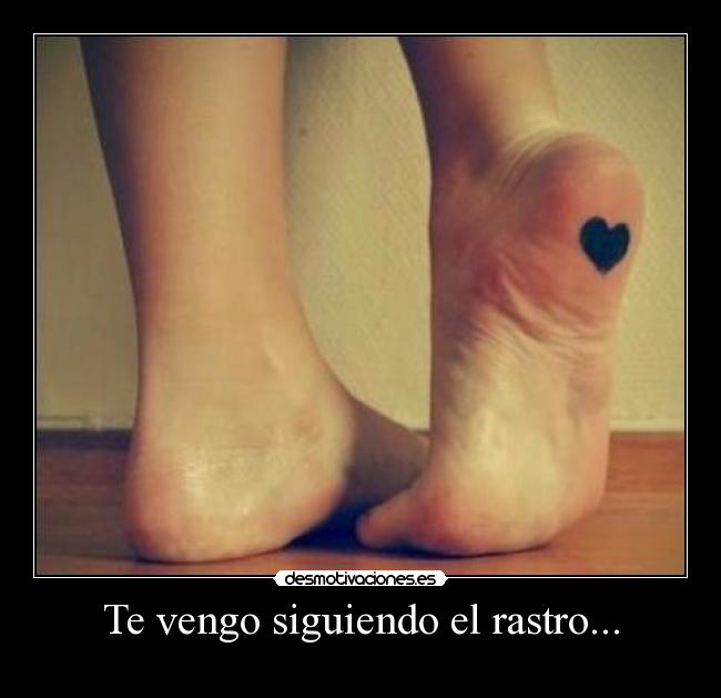 Te vengo siguiendo el rastro... -