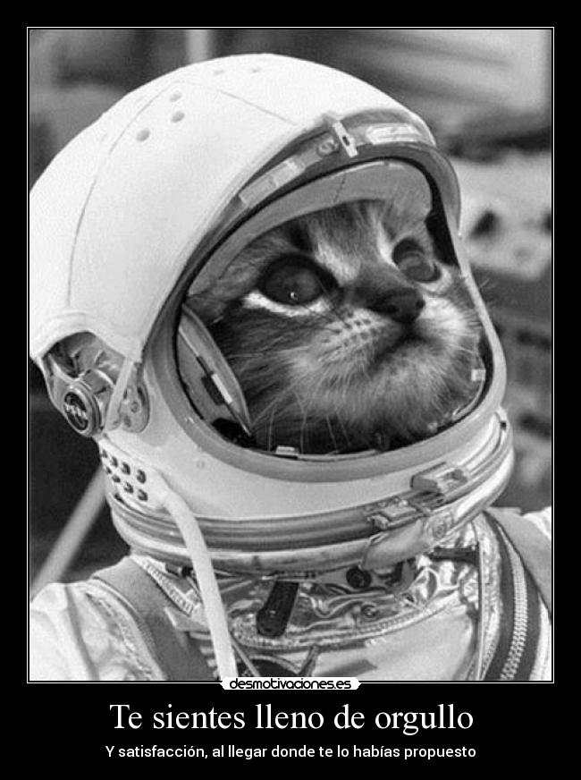 Te sientes lleno de orgullo - Y satisfacción, al llegar donde te lo habías propuesto