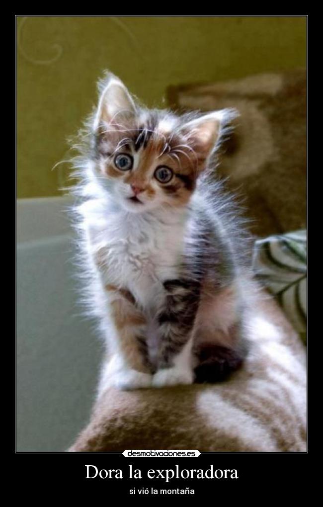 Dora la exploradora - si vió la montaña
