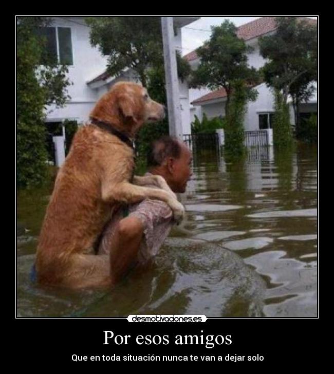 Por esos amigos -