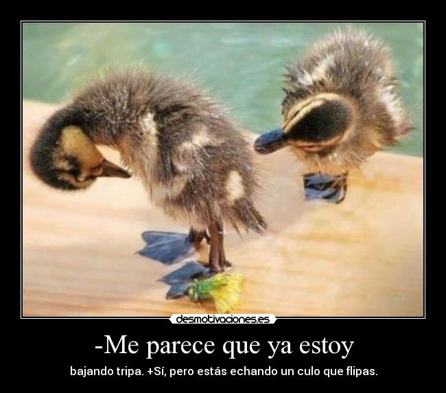 -Me parece que ya estoy - 
