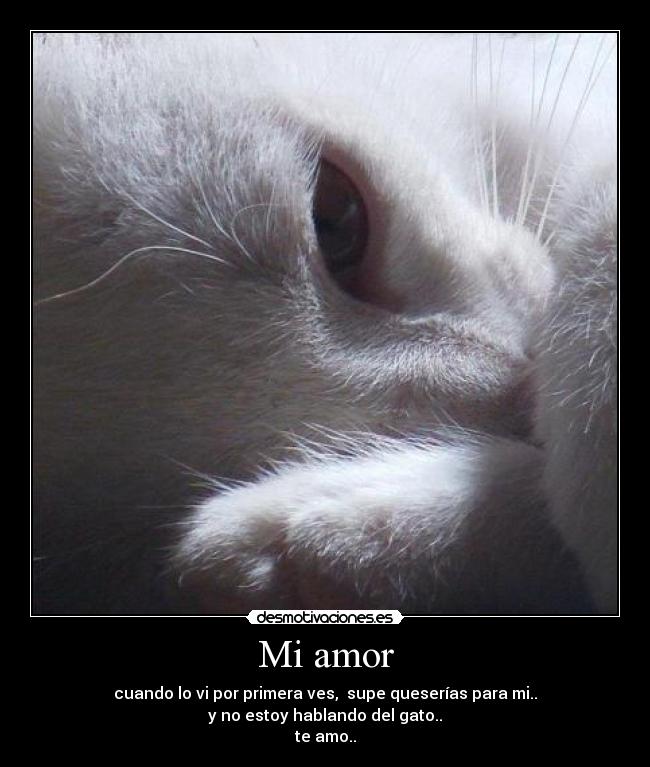 carteles amor amor desmotivaciones