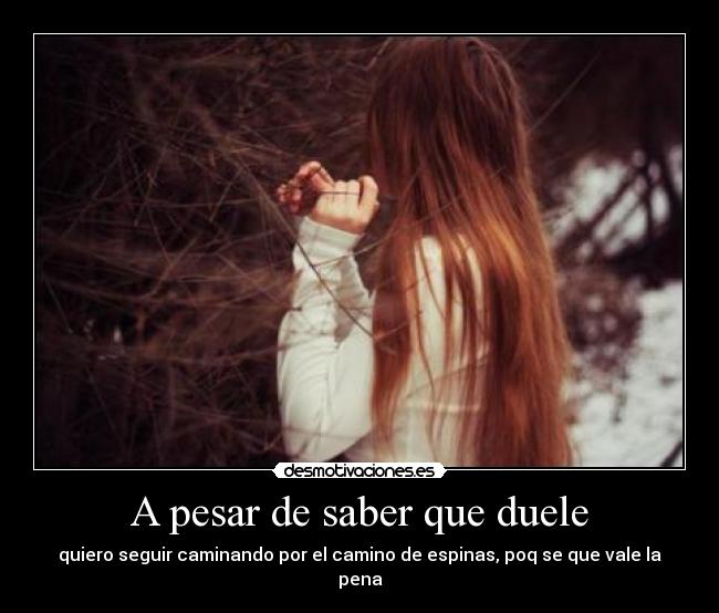 carteles notengoficio desmotivaciones