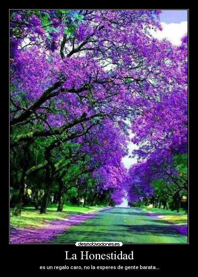 La Honestidad - 