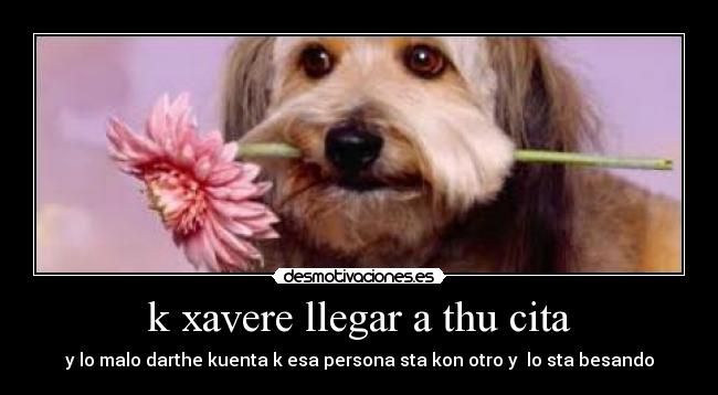 k xavere llegar a thu cita - 