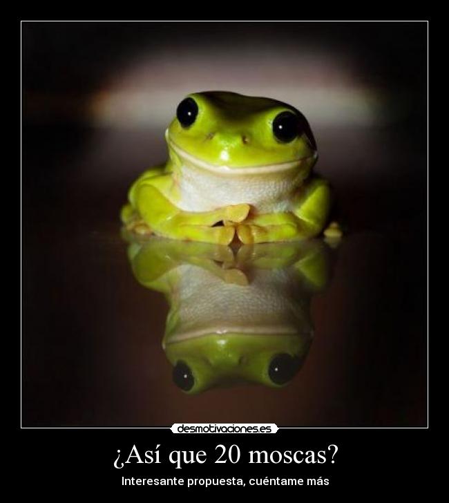 ¿Así que 20 moscas? - Interesante propuesta, cuéntame más