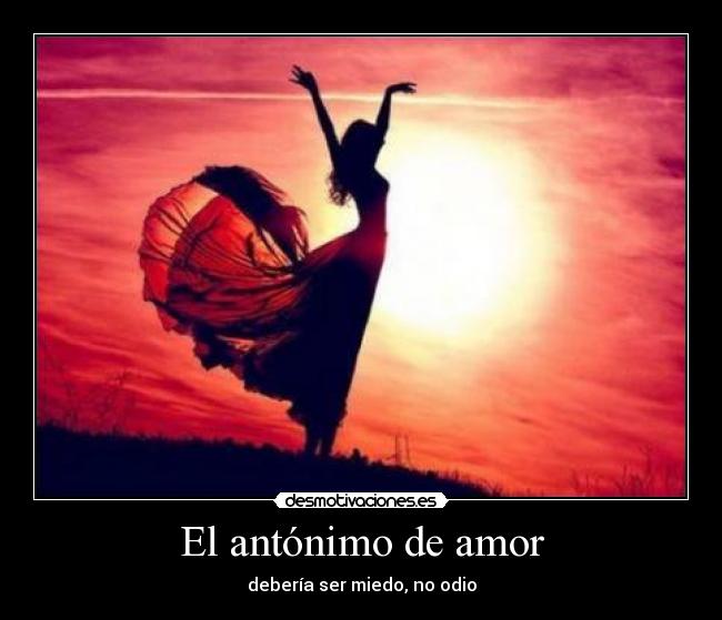 El antónimo de amor - 