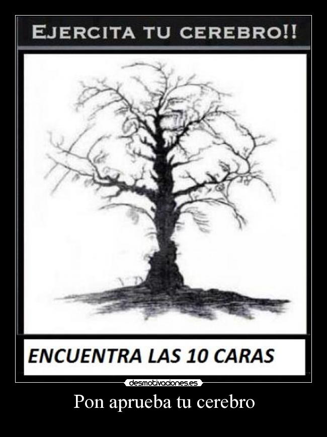 Pon aprueba tu cerebro -