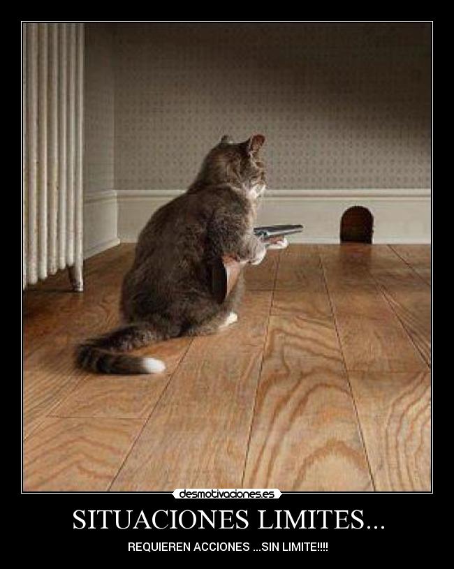 SITUACIONES LIMITES... -