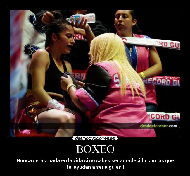 BOXEO -