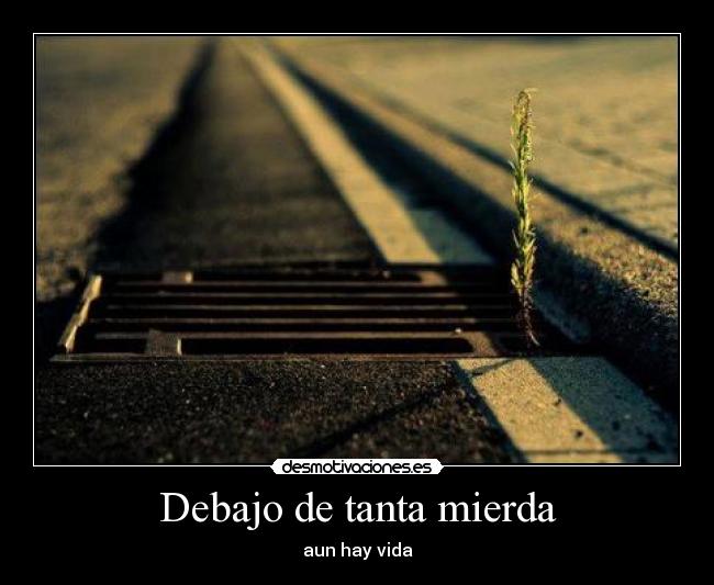 Debajo de tanta mierda - 