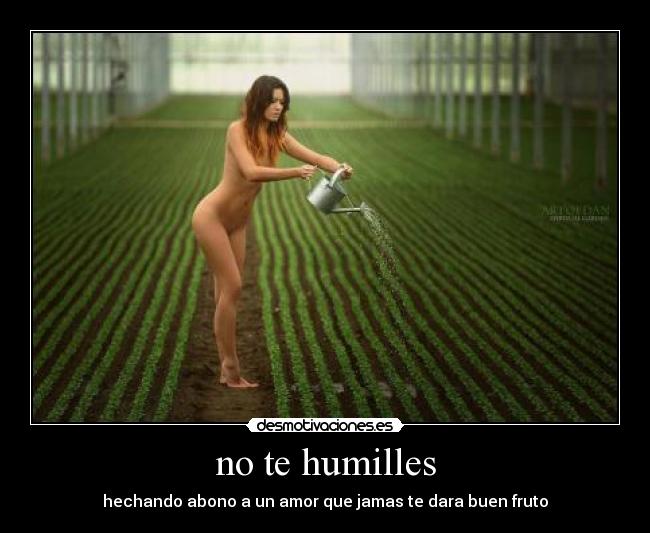 no te humilles -