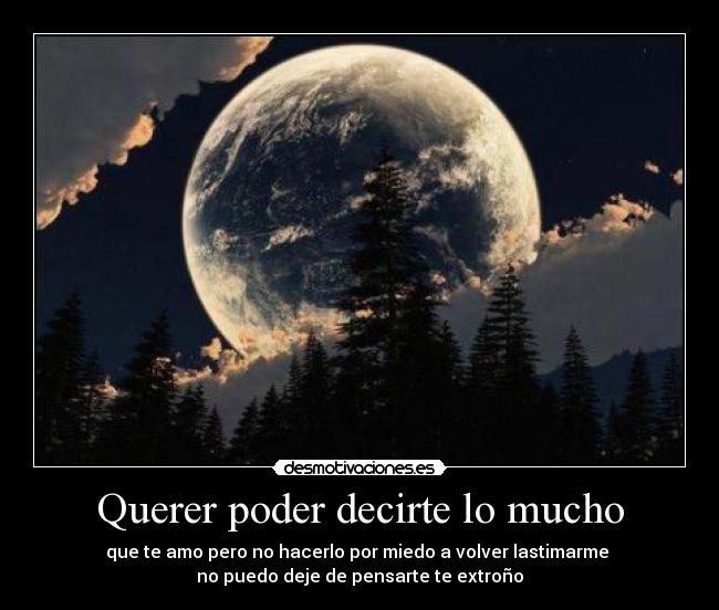 Querer poder decirte lo mucho - que te amo pero no hacerlo por miedo a volver lastimarme
no puedo deje de pensarte te extroño