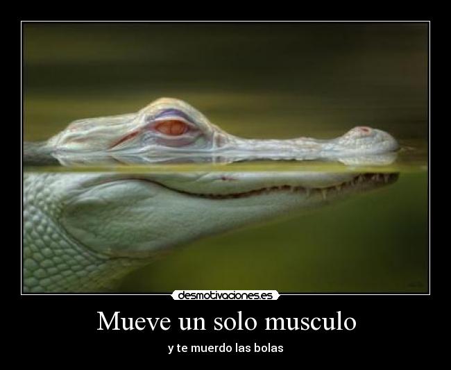 Mueve un solo musculo -