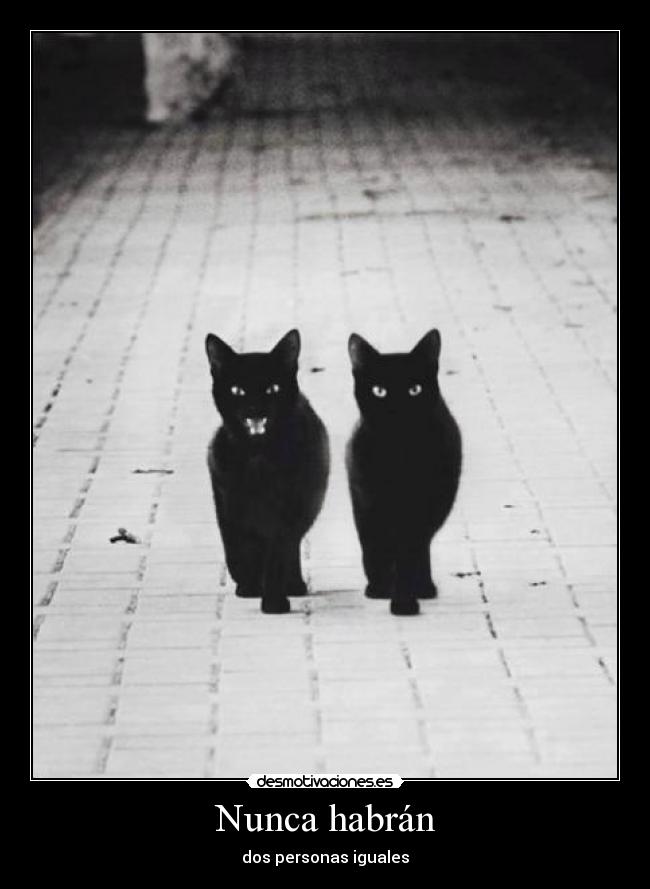 Nunca habrán - 