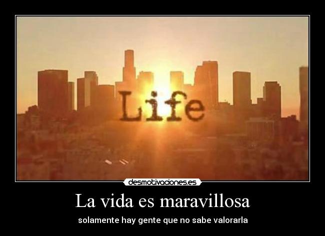 La vida es maravillosa -