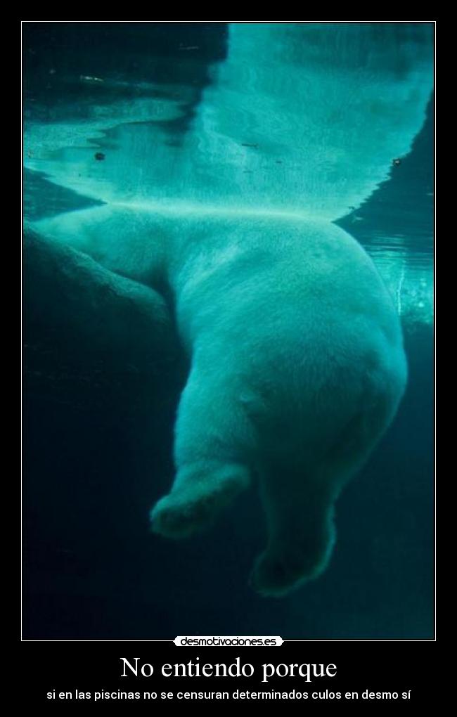 No entiendo porque -