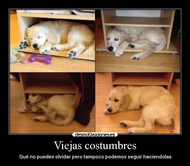 carteles que puedes olvidar pero tampoco podemos seguir haciendolas desmotivaciones