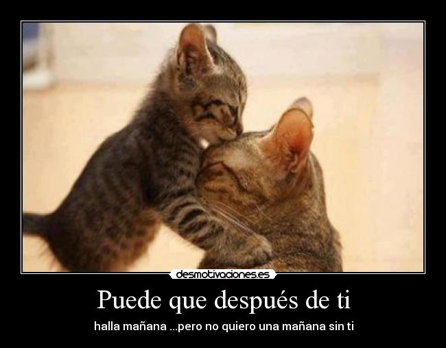 Puede que después de ti - halla mañana ...pero no quiero una mañana sin ti