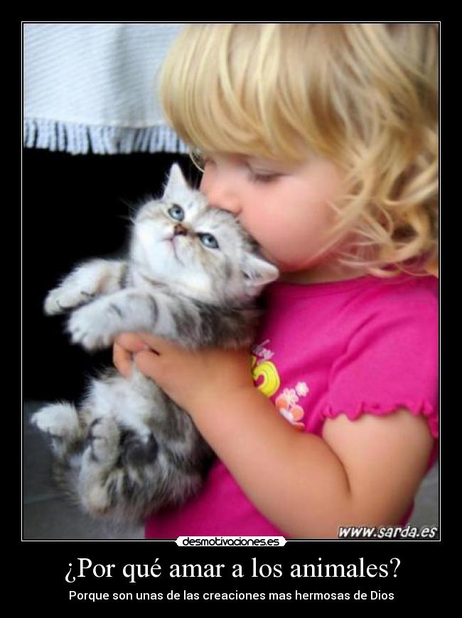 ¿Por qué amar a los animales? -
