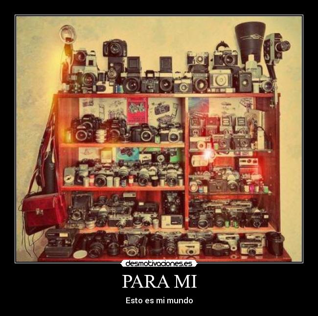 carteles fotografia desmotivaciones