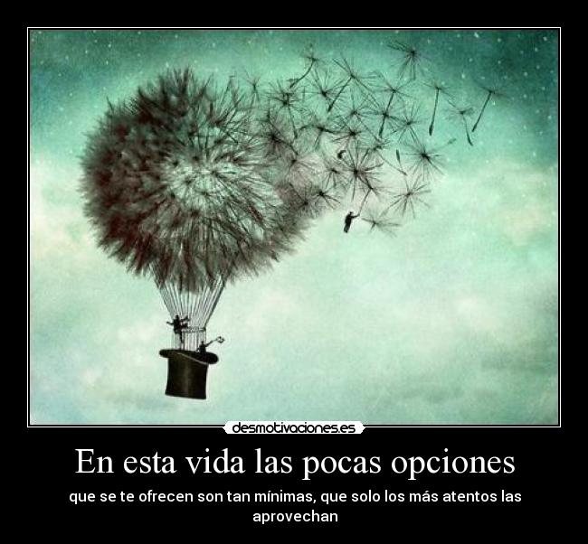 En esta vida las pocas opciones - que se te ofrecen son tan mínimas, que solo los más atentos las aprovechan