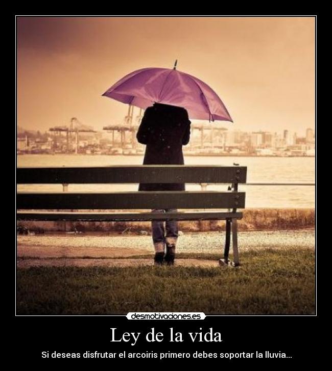 Ley de la vida - Si deseas disfrutar el arcoiris primero debes soportar la lluvia...