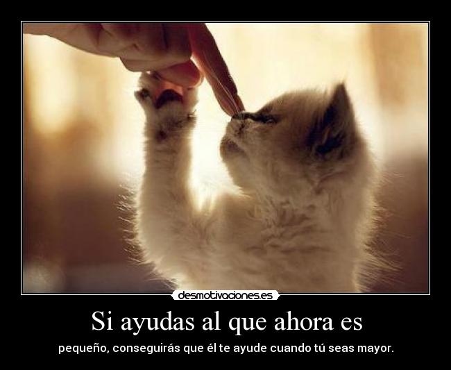 carteles deivod mvr elgatoquenuncasupovivir mininooooooooo desmotivaciones