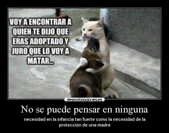 No se puede pensar en ninguna -