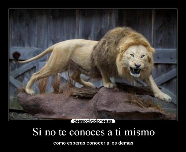 Si no te conoces a ti mismo - como esperas conocer a los demas