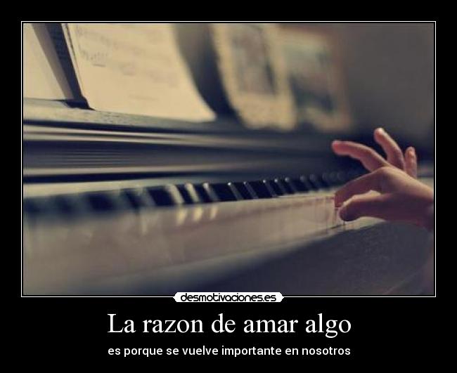 La razon de amar algo -
