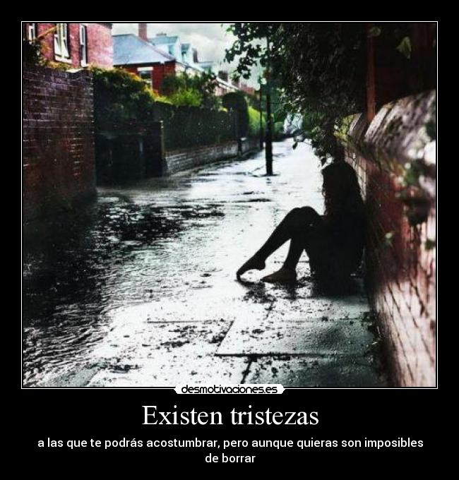 Existen tristezas - a las que te podrás acostumbrar, pero aunque quieras son imposibles de borrar
