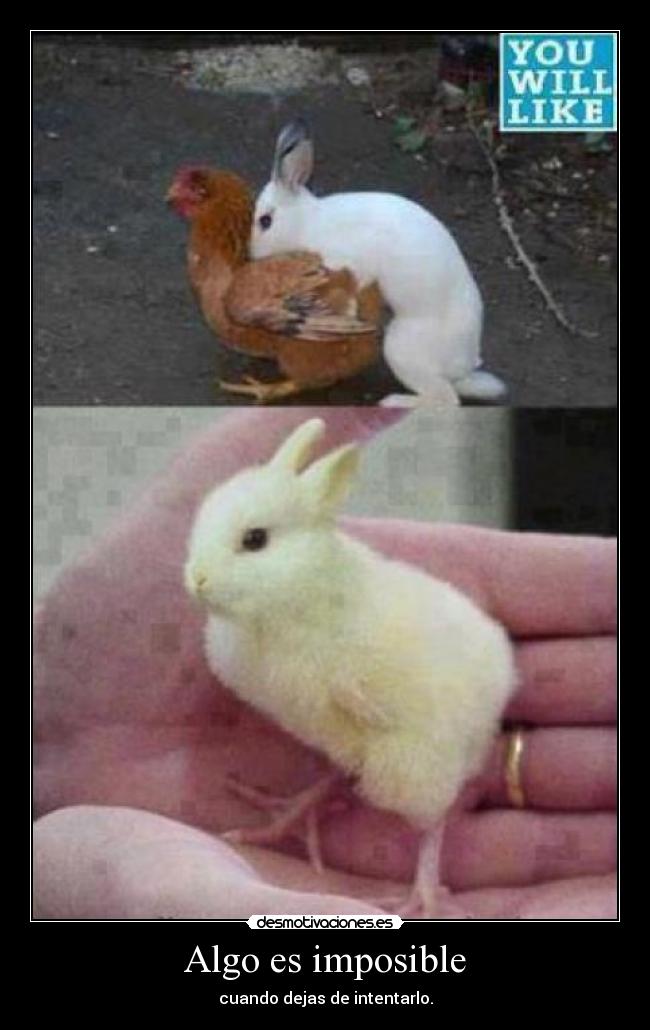 Algo es imposible - cuando dejas de intentarlo.