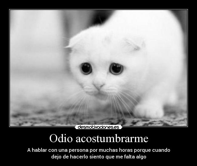 Odio acostumbrarme - A hablar con una persona por muchas horas porque cuando
dejo de hacerlo siento que me falta algo