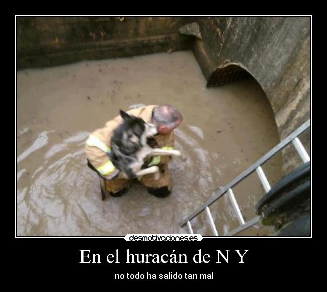 carteles algo bueno huracan desmotivaciones