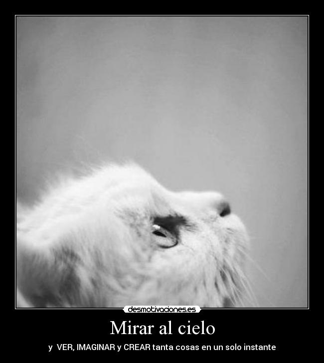 Mirar al cielo - 