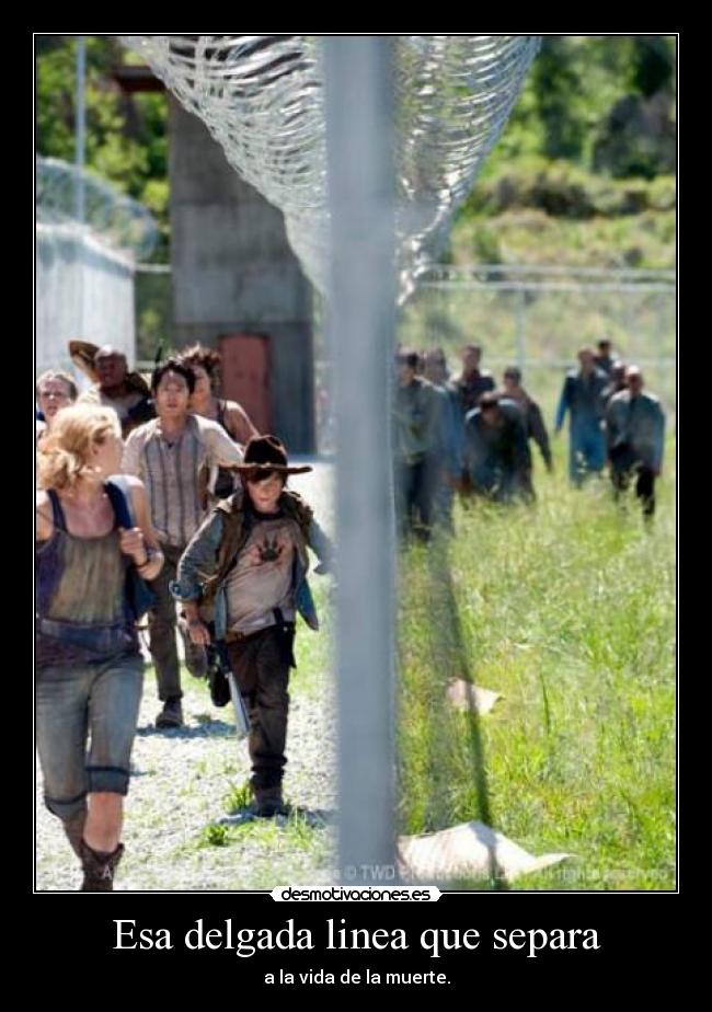 Esa delgada linea que separa -
